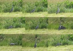 photos par années