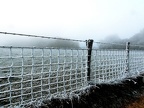hiver