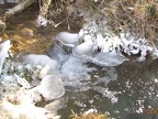 hiver2012