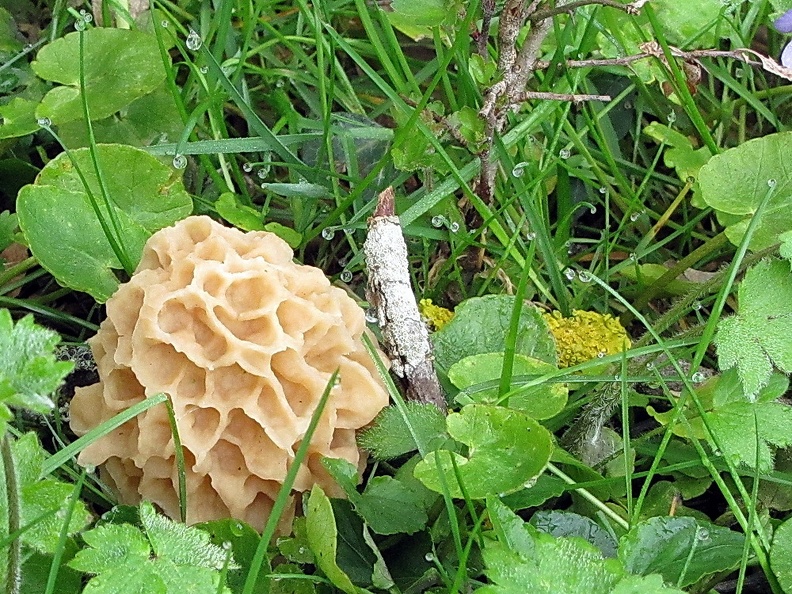 p12_2.jpg
