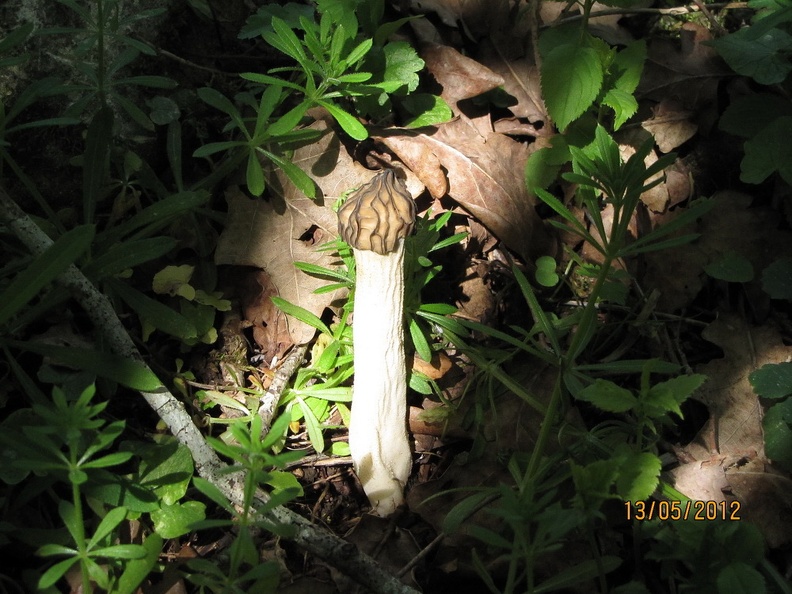 p12_3.jpg