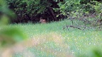 p12 12