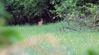 p12 13