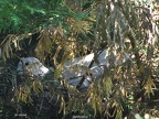 p12 26