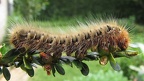 e12 2