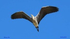 été